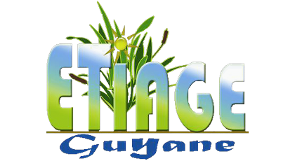 Logo Etiage Guyane